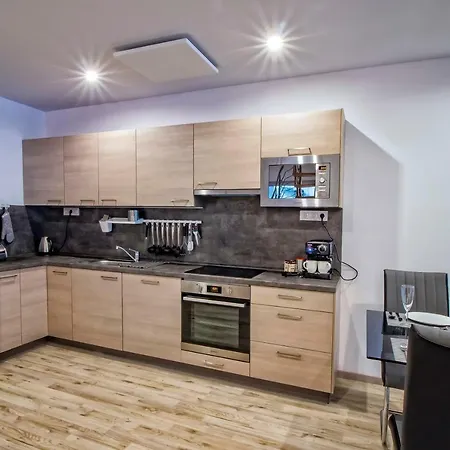 ヴィラ Wellness Klinovec Views *