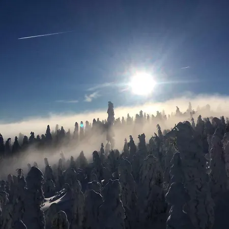 Wellness Klinovec Views * Loučná pod Klínovcem