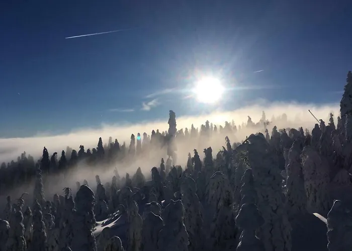 Wellness Klinovec Views * Loučná pod Klínovcem