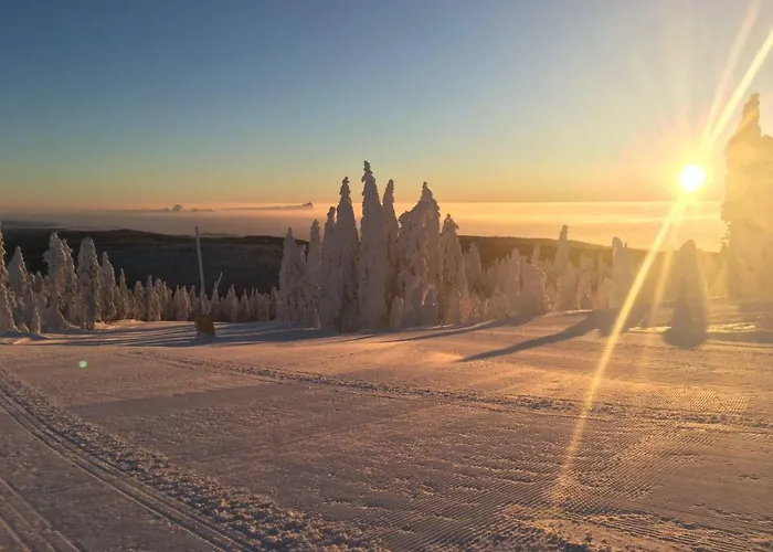 Wellness Klinovec Views Villa